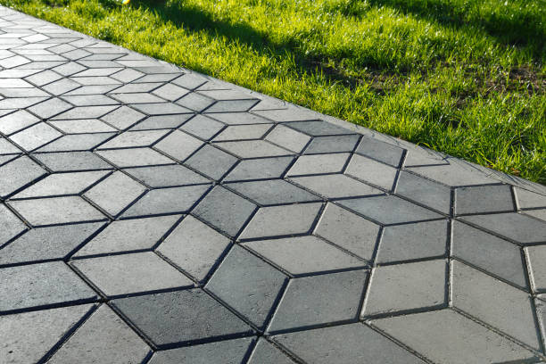 Best Driveway Pavers Near Me  in Vineyards, FL