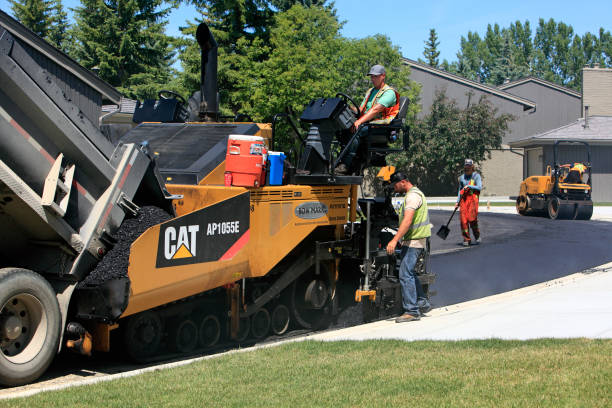 Best Custom Driveway Pavers  in Vineyards, FL
